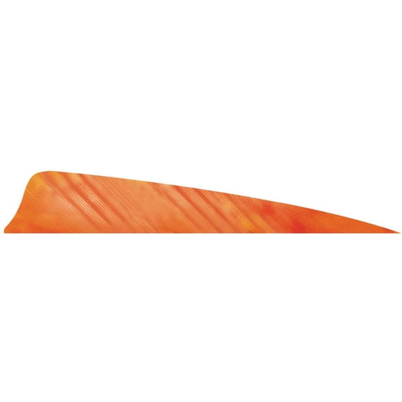 Gateway Shield Cut Feathers