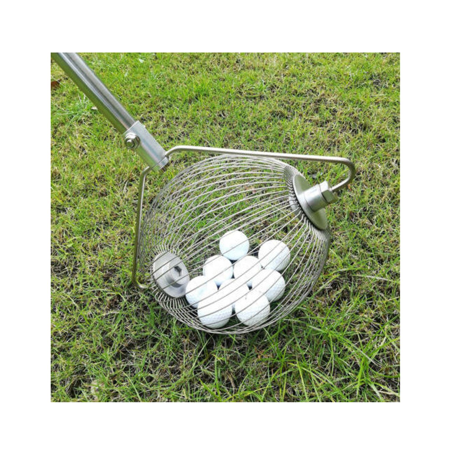 Gatherer Nut Wizard Large Large Nut Yard Harvester Garden Weasel