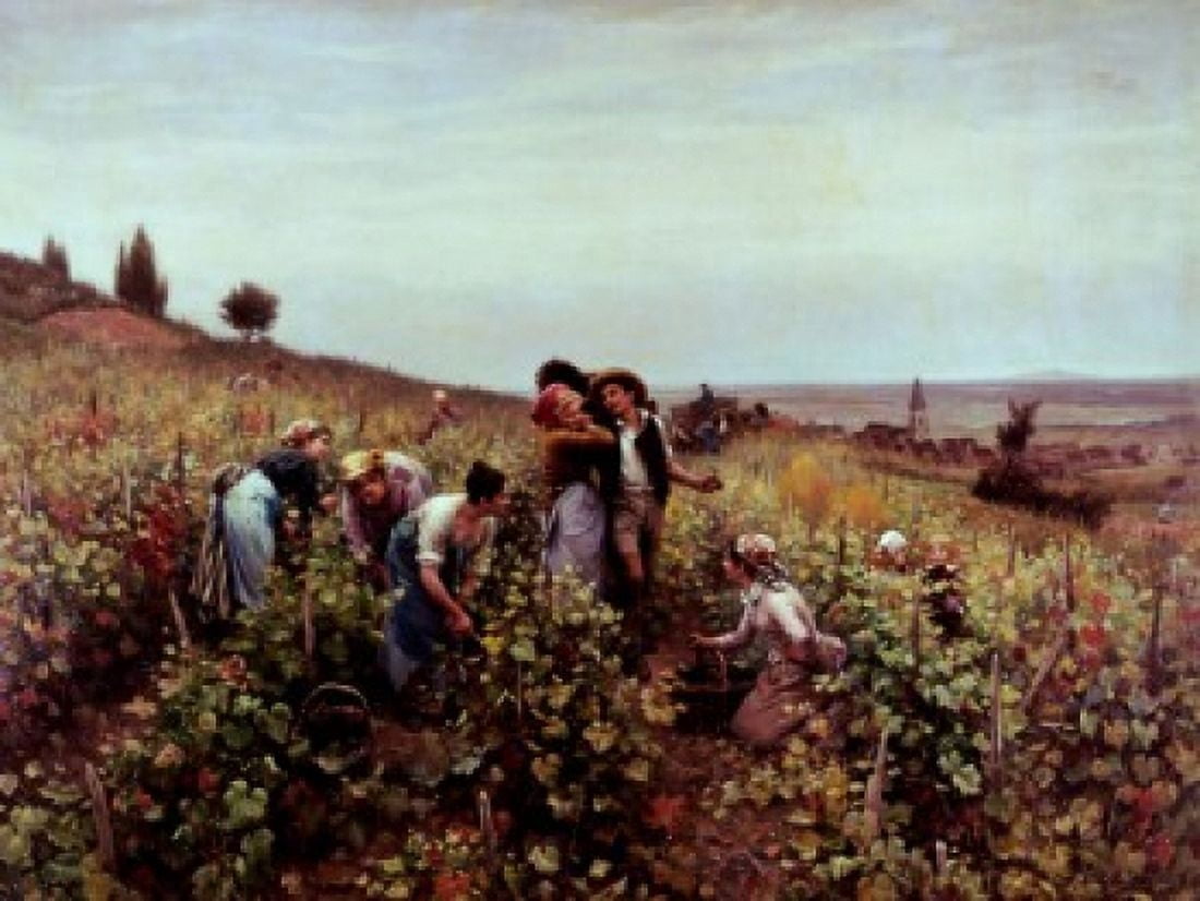 Gathering Grapes Ridgway Knight (1840-1924 American) Canvas Art - Ridgway Knight (18 x 24)
