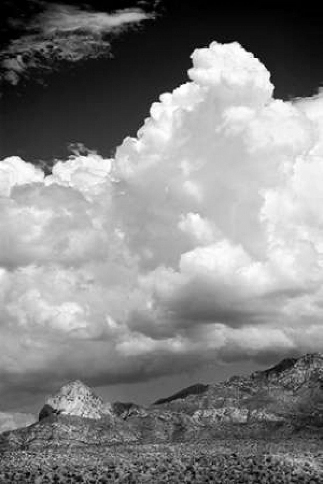 Gathering Summer Storm BW Canvas Art - Douglas Taylor (12 x 18)
