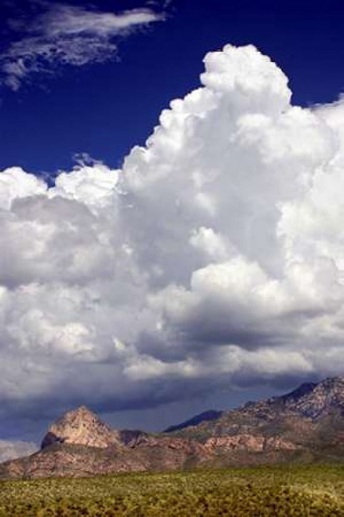 Gathering Summer Storm Canvas Art - Douglas Taylor (24 x 36)