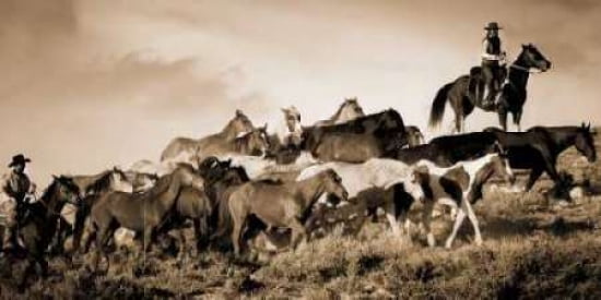 Gathering The Herd Canvas Art - Wendy Caro (10 x 20)
