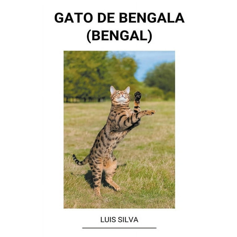 Gato de Bengala (Bengal) (Paperback) 