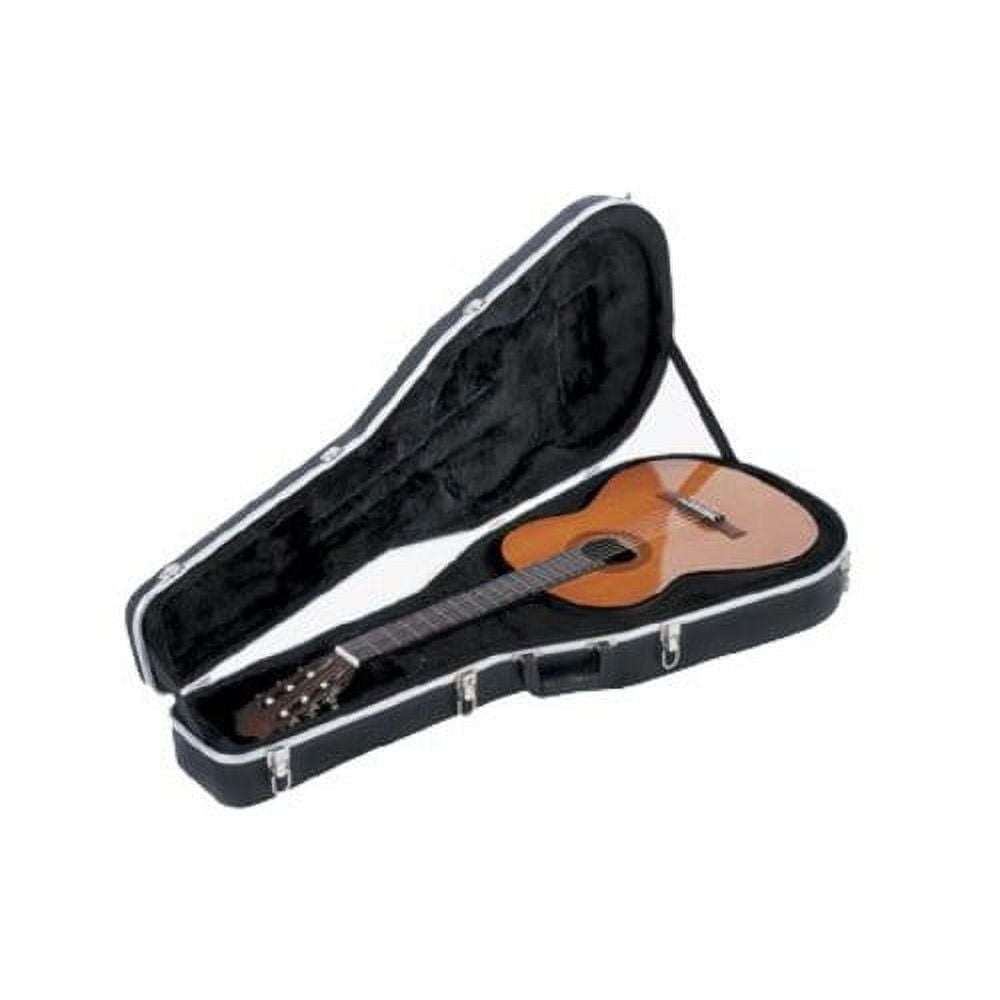 Plastic 2024 guitar case