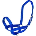 thumbnail image 1 of Gatsby 4-367726 Nylon Cattle Halter - Blue - Extra Large, 1 of 1