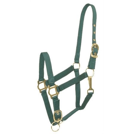 Gatsby Adj Nylon Halter/Snap Cob Hunter