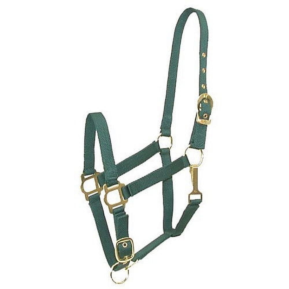 Gatsby Adj Nylon Halter/Snap Horse Hunter
