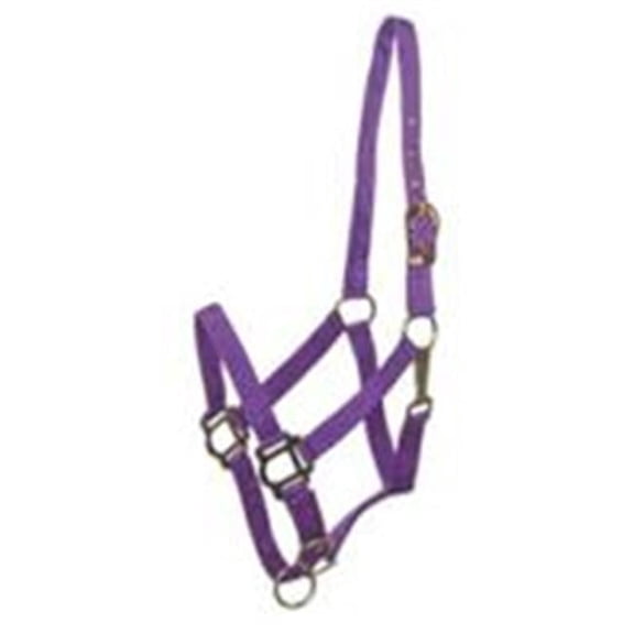 Gatsby Breakaway Halter Purple Cobb - 401101-2960-3660