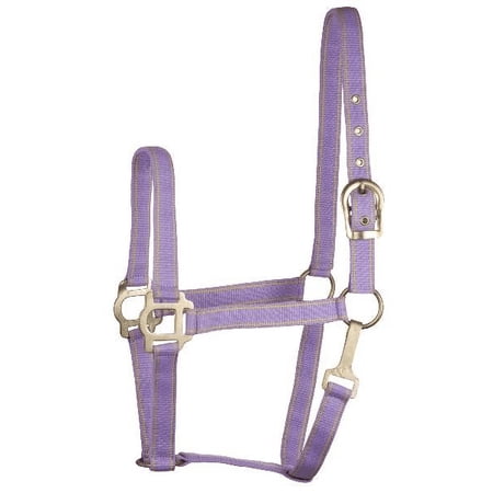 Gatsby Classic 2-Tone Nylon Halter with Snap Lilac/Yellow OverSize