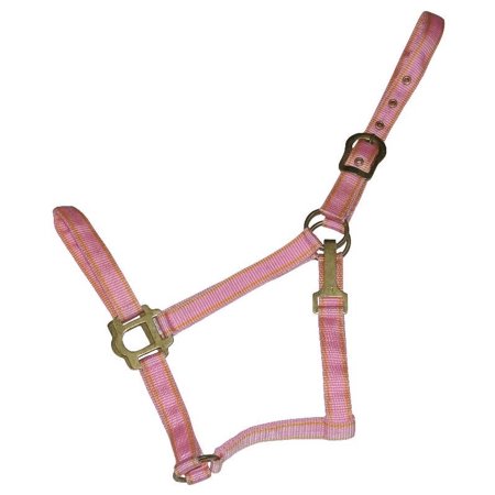 Gatsby Classic 2-Tone Nylon Halter with Snap Pink/Lt Blue Horse