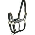 thumbnail image 1 of Gatsby Fully Adjust Padded Leather Halter Horse, 1 of 2