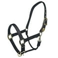 thumbnail image 1 of Gatsby Gold Adjustable Nylon Safety Breakaway Halter, 1 of 1