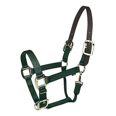 Gatsby Gold Nylon Breakaway Halter Oversize Hunter