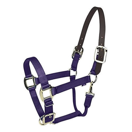 Gatsby Gold Nylon Breakaway Halter Pony Purple