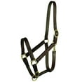 thumbnail image 1 of Gatsby Adj Turnout Leather Halter w/Snap Yearling, 1 of 6