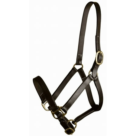 Gatsby Leather Adjustable Turnout Halter Without Snap Havana Weanling