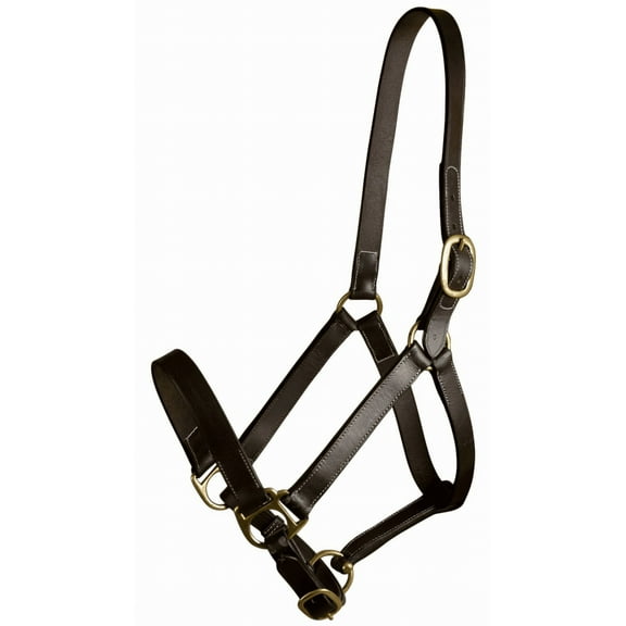 Gatsby Adj Turnout Leather Halter No Snap Yearling
