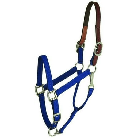 Gatsby Leather Nylon Breakaway Halter - Blue - Large Horse
