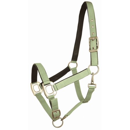 Gatsby Leather Padded Adjustable Nylon Halter Pistachio/Brown Cob