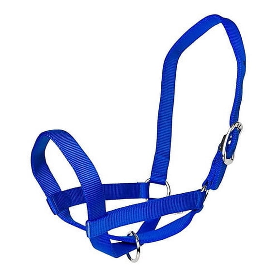 Gatsby Nylon Cattle Halter S Blue