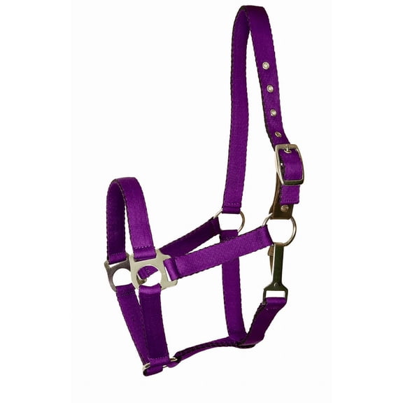 Gatsby Nylon Safety Breakaway Halter Cob Purple