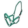 thumbnail image 1 of Gatsby Nylon Safety Breakaway Halter Oversize Turq, 1 of 6
