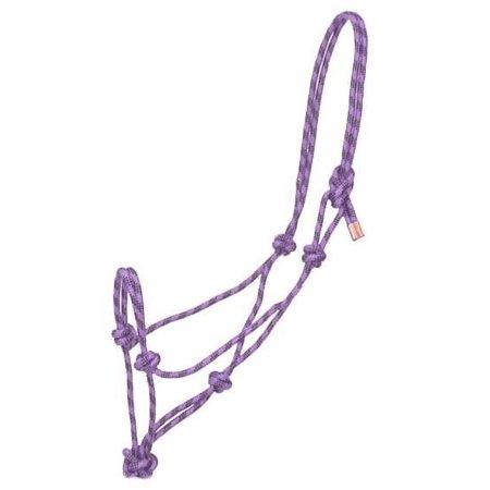 Gatsby Prof Cowboy Rope Halter Purple/Black
