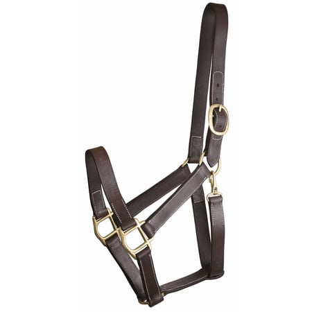 Gatsby Track Style Turnout Halter with Snap Havana Yearling