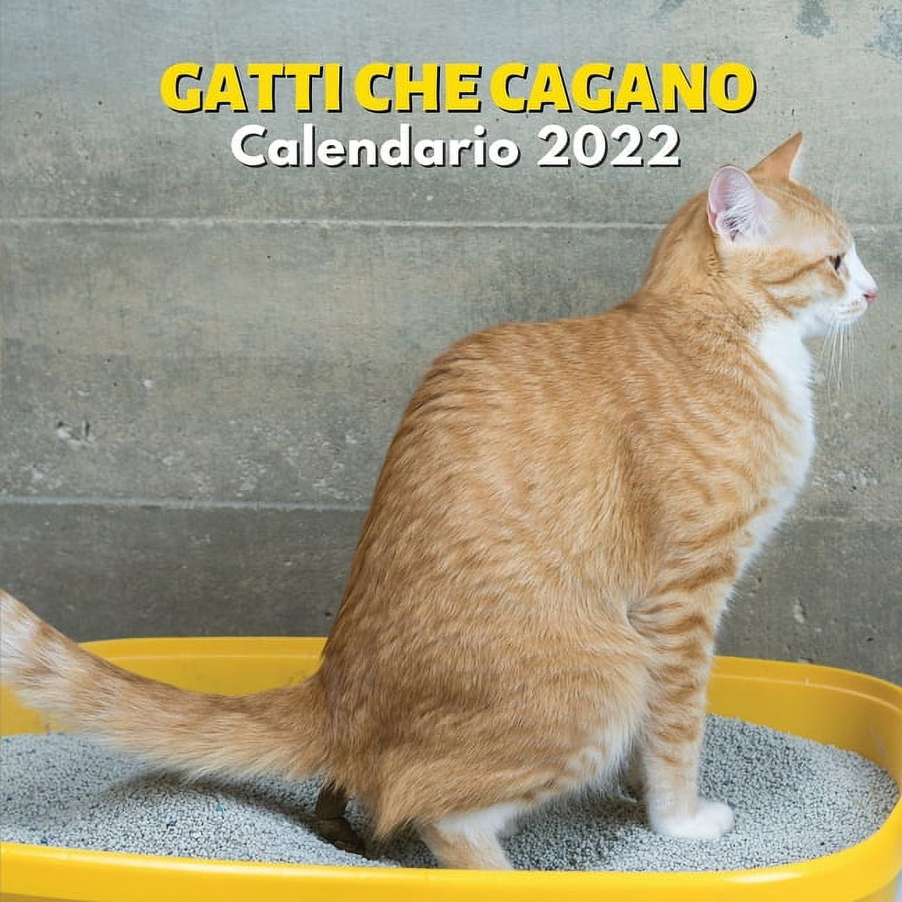 Gatti Che Cagano Calendario 2022 : amanti dei gatti - divertenti