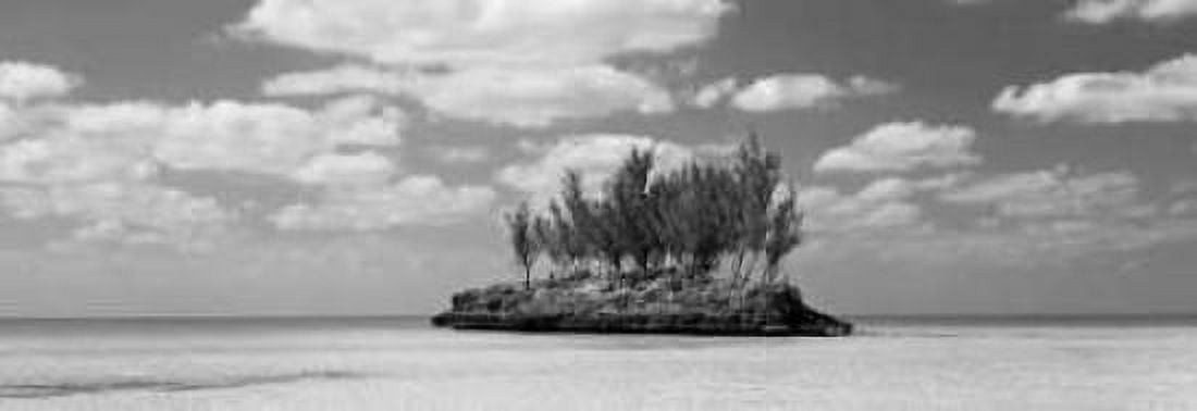 Gaulding Cay Conch BW Panel Canvas Art - Larry Malvin (12 x 36)