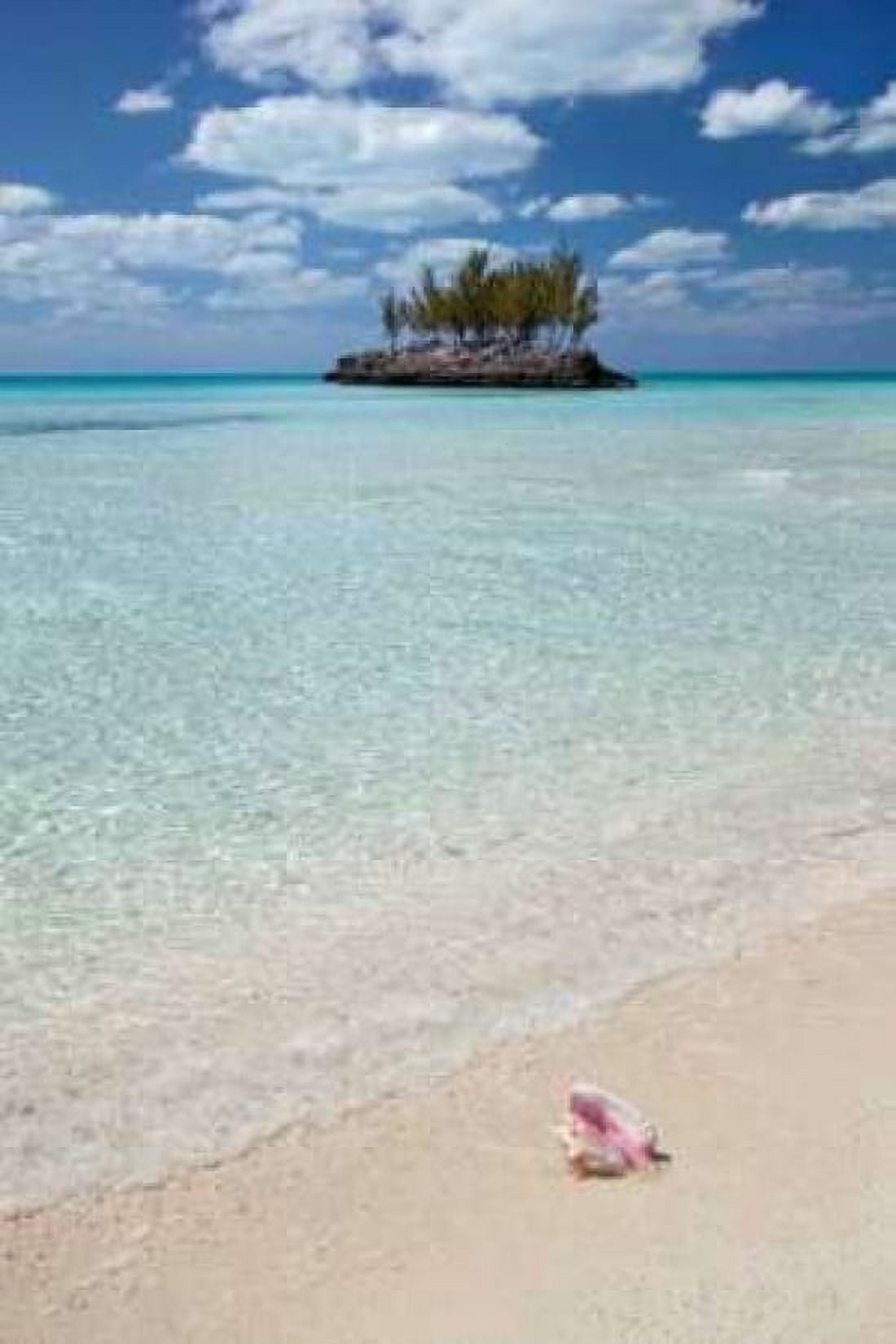Gaulding Cay Conch Canvas Art - Larry Malvin (24 x 36)