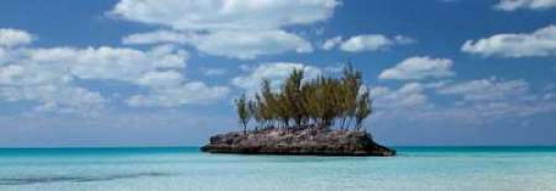 Gaulding Cay Conch Panel Canvas Art - Larry Malvin (8 x 24)