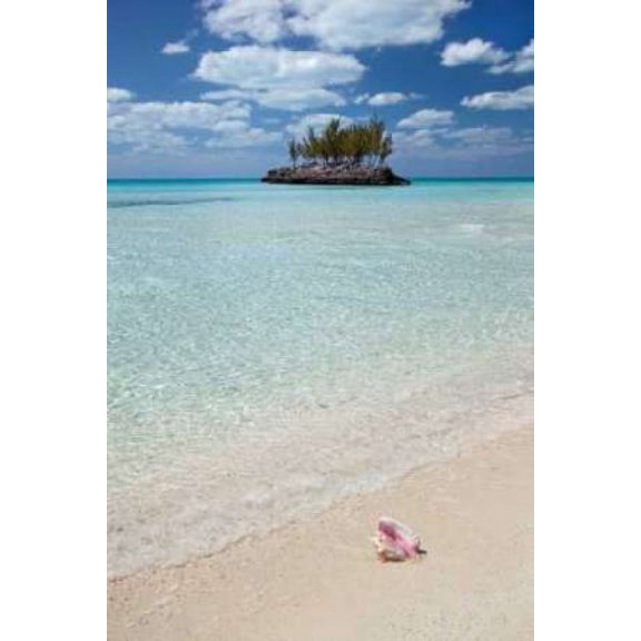 Gaulding Cay Conch Poster Print by Larry Malvin (12 x 18)