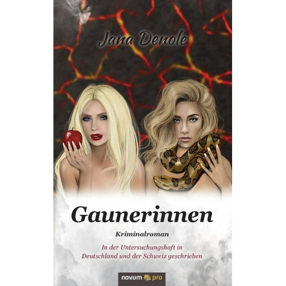 Gaunerinnen: Kriminalroman; in der Untersuchungshaft in Deutschland und der Schweiz geschrieben (Paperback)