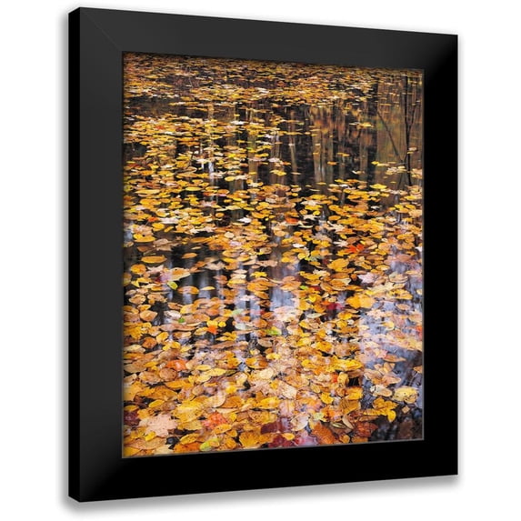 Gavrilis, John 12x14 Black Modern Framed Museum Art Print Titled - Autumn Detail