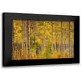 thumbnail image 1 of Gavrilis, John 14x11 Black Modern Framed Museum Art Print Titled - Independence Pass, 1 of 5