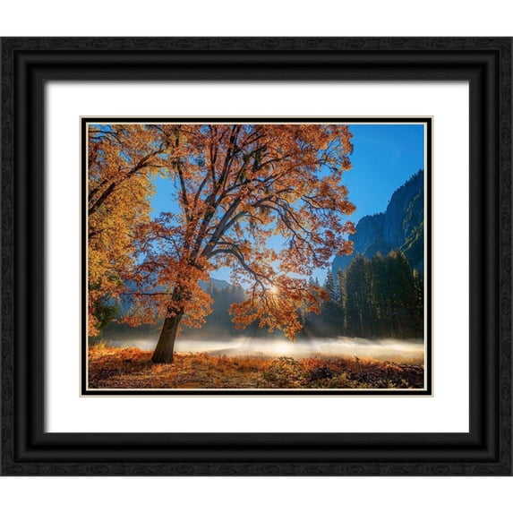 Gavrilis, John 14x12 Black Ornate Wood Framed with Double Matting Museum Art Print Titled - Autumn Oak Sunrise And Fog