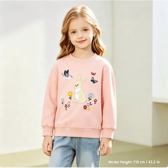 Gaxelrn Girls Pink Embroidered Cotton Sweatshirt Long Sleeve Crewneck Pullover for Toddler Girls,Size 3-4 T