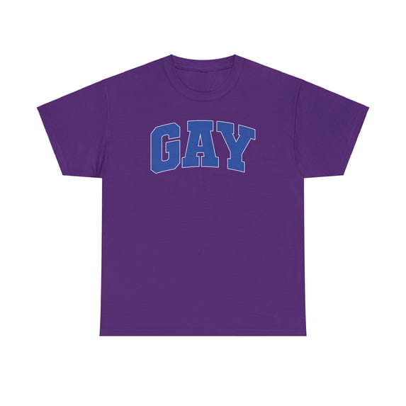 Gay Lesbian LGBTQ LGTB Pride Homosexual Shirt Gifts Tshirt Crew Neck