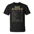 thumbnail image 1 of Gay Name Gay Facts TShirt, 1 of 6