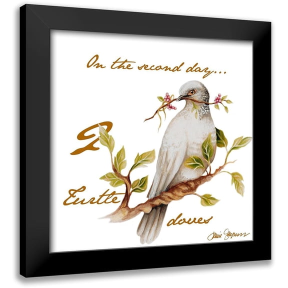Gaynor, Janice 12x12 Black Modern Framed Museum Art Print Titled - Two Turtle Doves