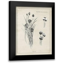Gaynor, Janice 12x14 Black Modern Framed Museum Art Print Titled - Latin Botanicals III