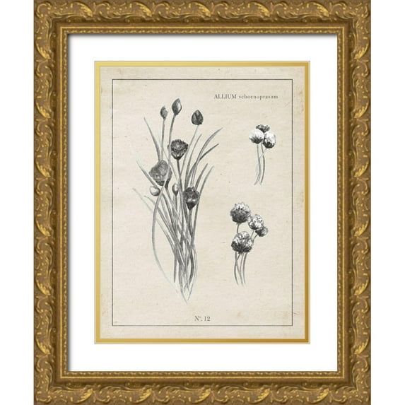 Gaynor, Janice 12x14 Gold Ornate Wood Framed with Double Matting Museum Art Print Titled - Latin Botanicals III