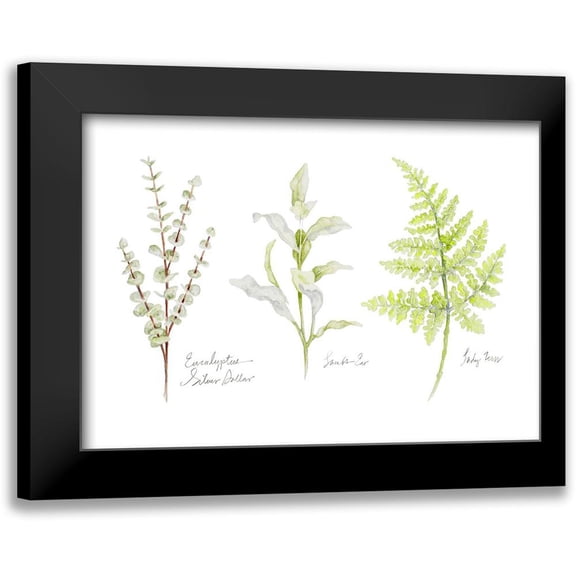 Gaynor, Janice 14x11 Black Modern Framed Museum Art Print Titled - Named Ferns II
