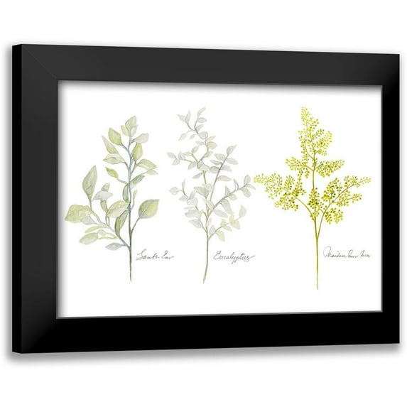 Gaynor, Janice 18x14 Black Modern Framed Museum Art Print Titled - Named Ferns I