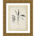 thumbnail image 1 of Gaynor, Janice 25x32 Gold Ornate Wood Framed with Double Matting Museum Art Print Titled - Latin Botanicals II, 1 of 4