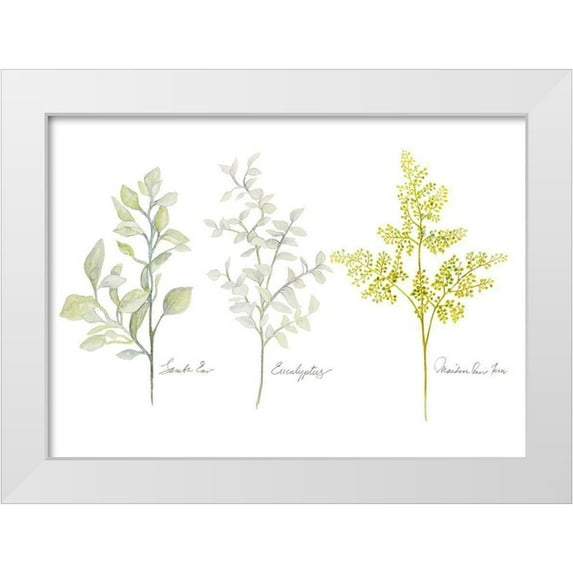 Gaynor, Janice 32x24 White Modern Wood Framed Museum Art Print Titled - Named Ferns I