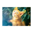 thumbnail image 1 of Gaze in the Leaves - Photography Cat Modern Art Nature Floral Scenic Summer Pastel Unframed Wall Art Print 16 x 24 inches, 1 of 7
