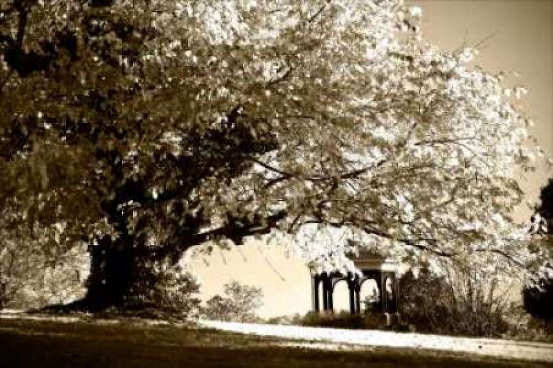 Gazebo Canvas Art - Alan Hausenflock (24 x 36)