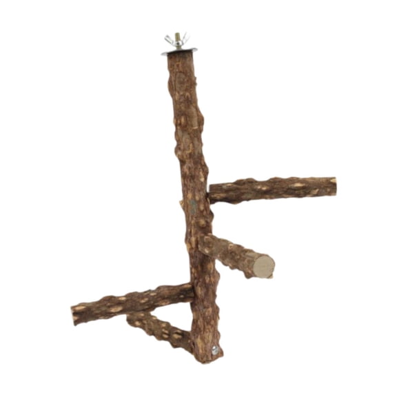 Gazechimp Bird Perch en Platform Parrot Play Stand for Finches Budgie Parakeet